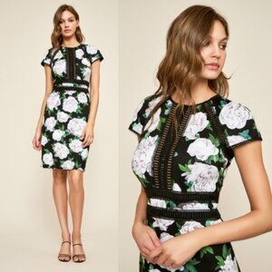 NWT Tadashi Shoji Indigo Floral Neoprene Dress BGO17705MXZ Black Size 10